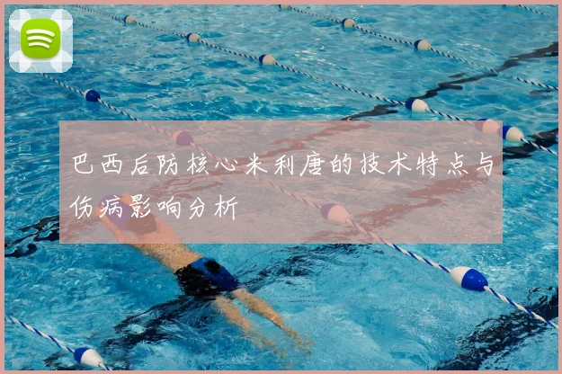 巴西后防核心米利唐的技术特点与伤病影响分析